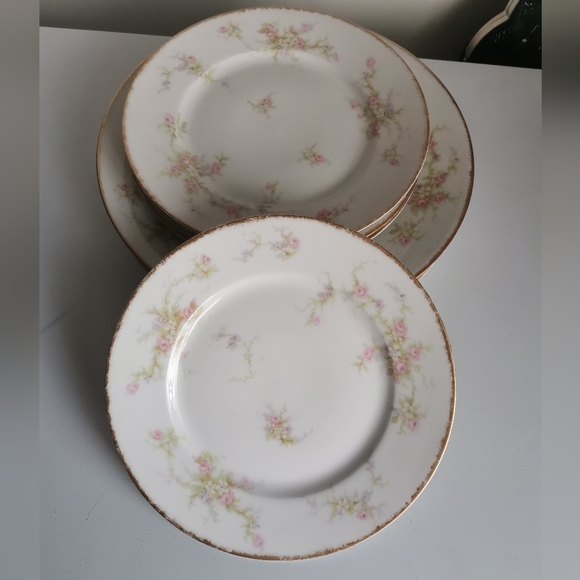 Antique Theodore Haviland Limoges Plates 7 - Picture 5 of 8
